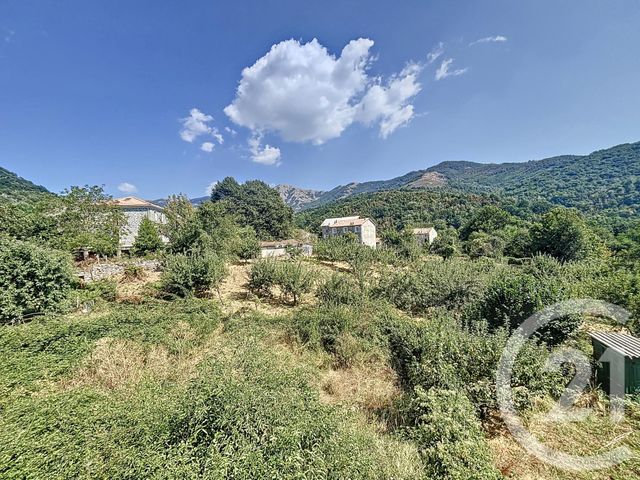 appartement à vendre - 3 pièces - 82 m2 - Bastelica - 201 - CORSE