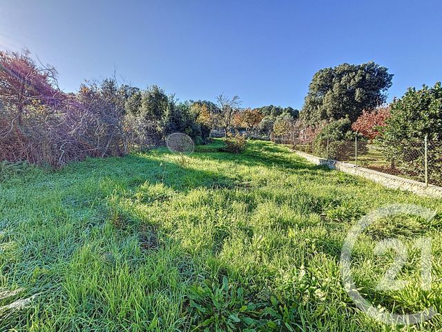 Afficher la photo en grand Terrain à vendre - 556 m2 - Piana - 201 - CORSE