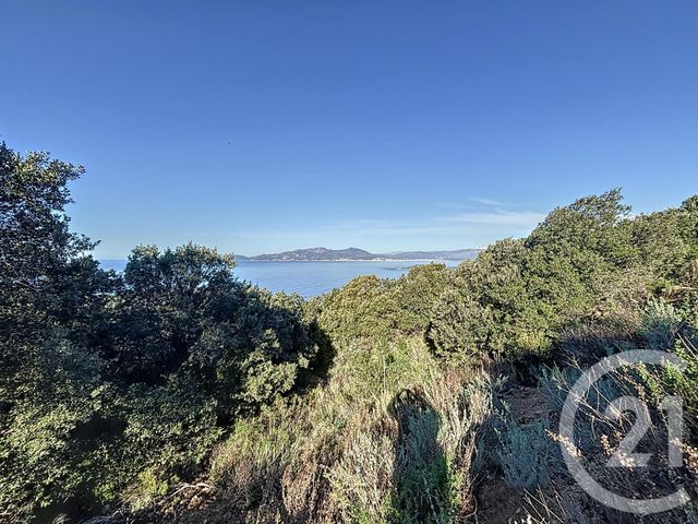 Terrain à vendre - 1700 m2 - Coti Chiavari - 201 - CORSE