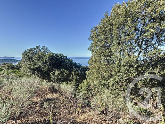Afficher la photo en grand Terrain à vendre - 1700 m2 - Coti Chiavari - 201 - CORSE