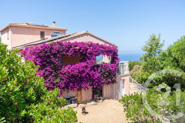 Afficher la photo en grand Maison à vendre - 5 pièces - 148,54 m2 - Coti Chiavari - 201 - CORSE