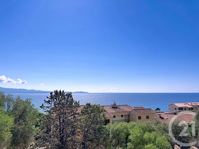 Appartement F1 à vendre - 1 pièce - 21 m2 - Ajaccio - 201 - CORSE