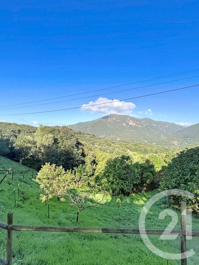 Terrain à vendre ECCICA SUARELLA