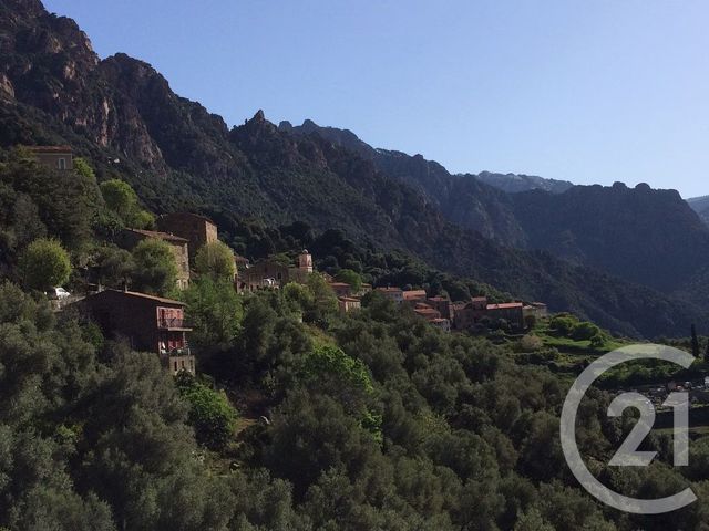 Appartement F4 à vendre - 4 pièces - 64 m2 - Ota - 201 - CORSE