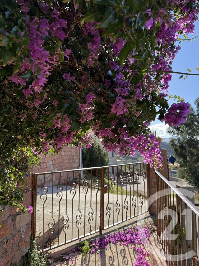 Appartement &agrave; vendre - 6 pi&egrave;ces - 130 m2 - Ajaccio - 201 - CORSE