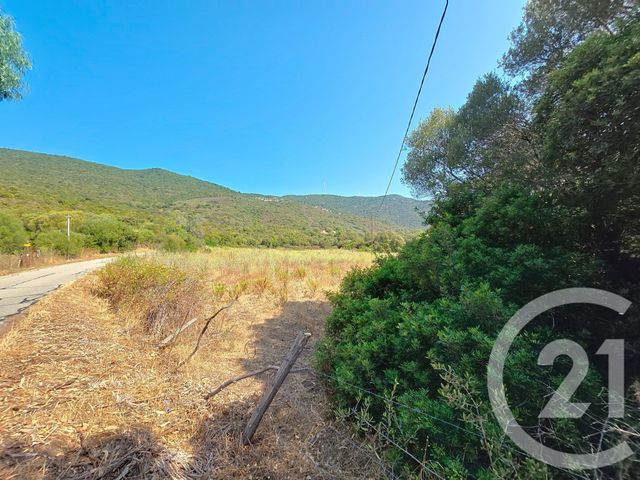 Afficher la photo en grand Terrain à vendre - 12372 m2 - Coti Chiavari - 201 - CORSE