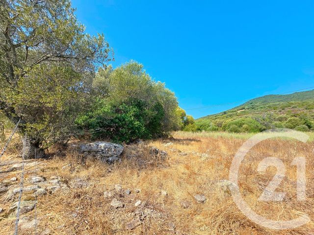 Afficher la photo en grand Terrain à vendre - 12372 m2 - Coti Chiavari - 201 - CORSE