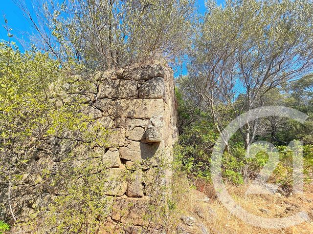 Terrain à vendre - 12372 m2 - Coti Chiavari - 201 - CORSE