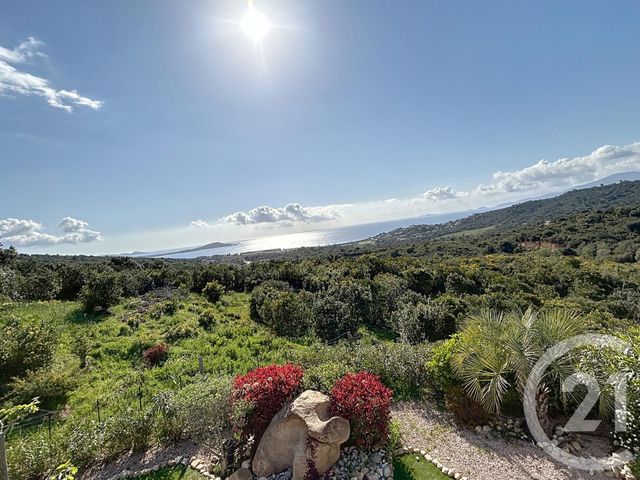 Afficher la photo en grand Maison à vendre - 8 pièces - 209,65 m2 - Albitreccia - 201 - CORSE